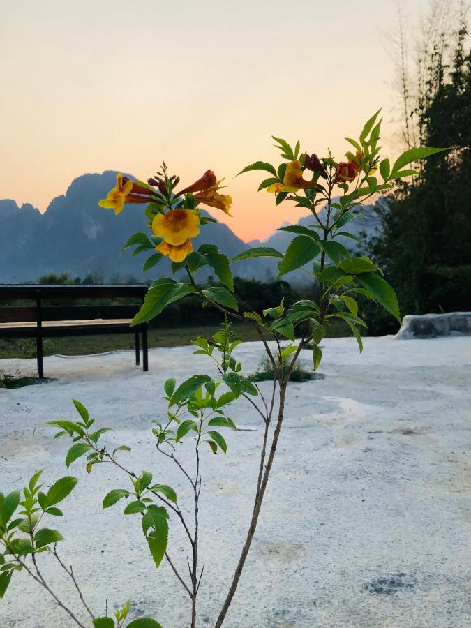 Jungle Paradise Vangvieng - Bungalows Vang Vieng Exteriér fotografie